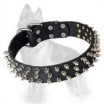German Shepherd Leather Spiked Dog Collar