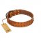 "Walk and Shine" FDT Artisan Tan Leather German Shepherd Collar with Antiqued Studs