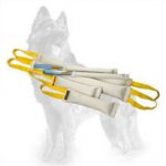 Double Fire Hose German Shepherd Training Set