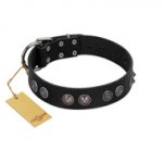 "Silver Medallions" Mod FDT Artisan Black Leather German Shepherd Collar with Round Plates