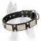 German Shepherd Studded Leather Dog Collar with Old Nickel Plates