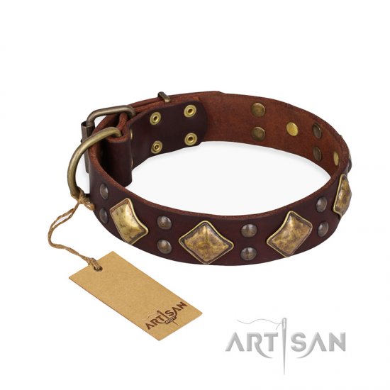 "Golden Square" FDT Artisan Brown Leather German Shepherd Collar with Large Squares