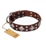 "King of Grace" FDT Artisan Stylish Leather German Shepherd Collar with Old Silver-Like Plated Decorations