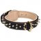 German Shepherd Nappa Padded Leather Dog Collar with 2 Rows of Brass Spikes