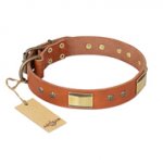 "Enchanting Spectacle" FDT Artisan Tan Leather German Shepherd Collar with Old Bronze Look Plates and Round Studs