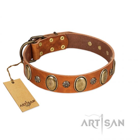 "Total Grace" FDT Artisan Brown Leather Dog Collar with Eye-catchy Ovals and Small Studs