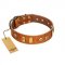 "Egyptian Script" FDT Artisan Tan Leather German Shepherd Collar with Plates and Small Studs