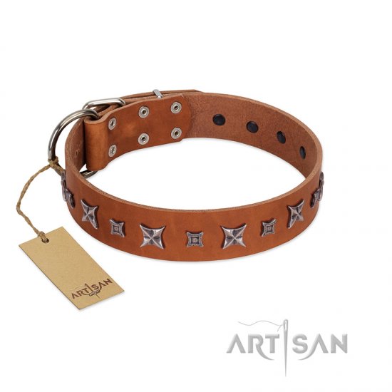 "Star Shine" Exclusive FDT Artisan Tan Leather German Shepherd Collar with Silver-Like Adornments