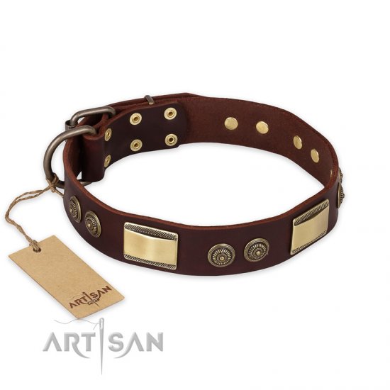 "Golden Stones" FDT Artisan Brown Leather German Shepherd Collar with Old Bronze Look Plates and Circles