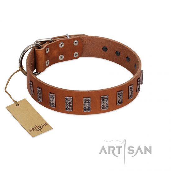 "Silver Century" Fashionable FDT Artisan Tan Leather German Shepherd Collar with Silver-Like Plates