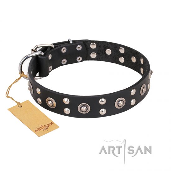 "Refined Essence" FDT Artisan Black Leather German Shepherd Collar with Silvery Studs