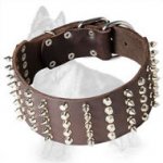 Wide Leather German Shepherd Collar with Nickel Spikes and Studs
