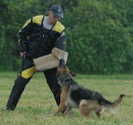 bite sleeve cover for schutzhund,police training