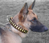 Gorgeous Wide Leather German Shepherd Collar & Plates