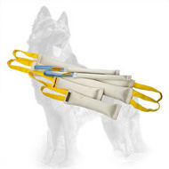 Double Fire Hose German Shepherd Training Set