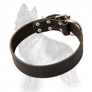 Wide Leather Dog Collar For German Shepherds