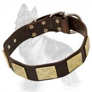 Leather German Shepherd Dog Collar with Brass Massive Plates