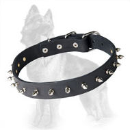 German Shepherd Spiked Leather Dog Collar
