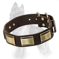 Leather German Shepherd Collar with Carved Brass Pates