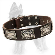 Leather German Shepherd Collar with Unusual Nickel Plates