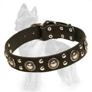 Leather German Shepherd Collar with Nickel Plated Studs and Circles