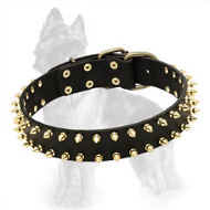 Leather German Shepherd Collar with Shining Brass Spikes