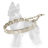 Martingale Neck Tech Prong Collar Herm Sprenger of Stainless Steel