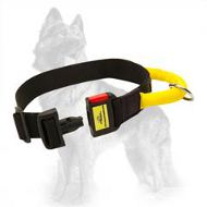 Nylon Collar with Quick Release Buckle