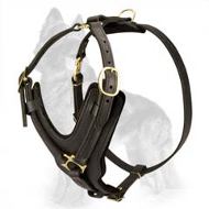 k9/Police Exclusive Luxury Handcrafted Leather Dog Harness