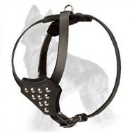 Studded Leather German Shepherd Harness for Puppies