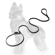 Leather German Shepherd Leash/Collar Combo with Handle