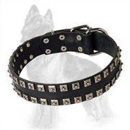 German Shepherd Leather Dog Collar with 2 Rows of Nickel Square Studs