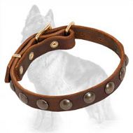 German Shepherd Leather Dog Collar with Brass Half-Ball Studs