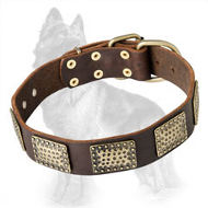 German Shepherd Leather Dog Collar with Embossed Massive Brass Plates