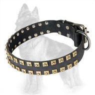 German Shepherd Studded Leather Dog Collar Caterpillar Design
