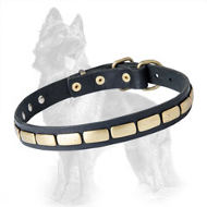 German Shepherd Leather Dog Collar with Slim Brass Plates