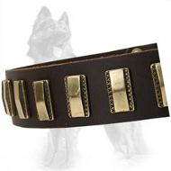 German Shepherd Leather Dog Collar with Slim Carved Brass Plates