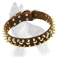 German Shepherd Leather Dog Collar with Glossy Brass Spikes and Nickel Half-Ball Studs