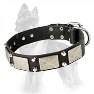 German Shepherd Studded Leather Dog Collar with Old Nickel Plates