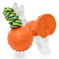 Water Dotted Rubber German Shepherd Dog Ball Unsinkable