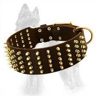 German Shepherd Wide Leather Dog Collar with Brass Spikes in 5 Rows
