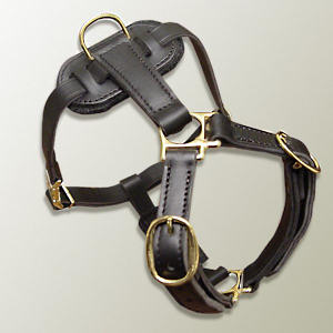 Handmade leather dog harness