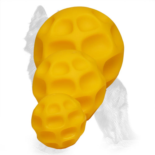 Tetraflex German-Shepherd Balls of 3 Sizes with Tasty Treats