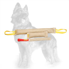 Jute German-Shepherd Set for Training and Playing