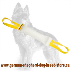 Fire Hose German-Shepherd Puppy Bite Tug with Two Handles