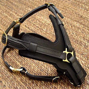 Handmade leather dog harness