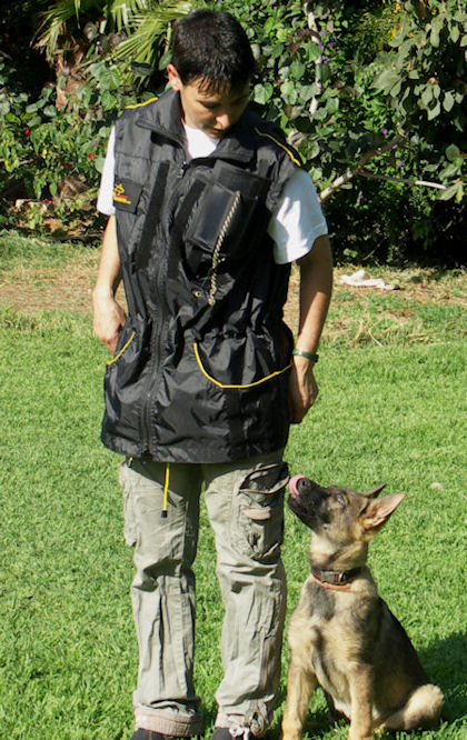 Training Dog Vest For Dog Trainers - Nylon Dog Training Vest V44
