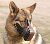 K9 Leather dog muzzle "Dondi"plus style For Police dogs