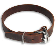 Leather Collar 1 inch wide for German Shepherd