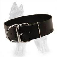 2 inch Wide Leather Dog Collar for Strong German Shepherds